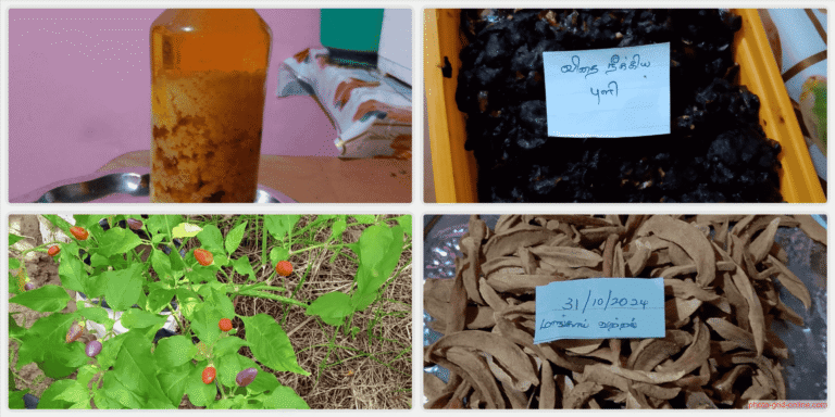 collage 1775923348403 768x384