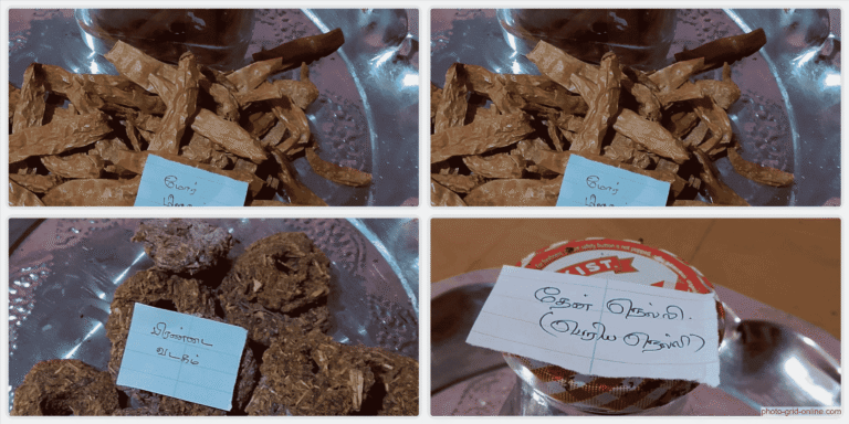 collage 1775923540142 768x384