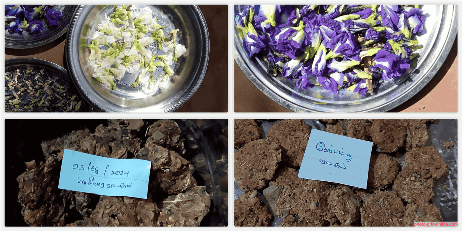 collage 1775923570951