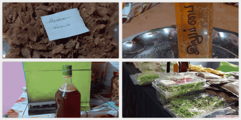 collage 1775923626217 768x384